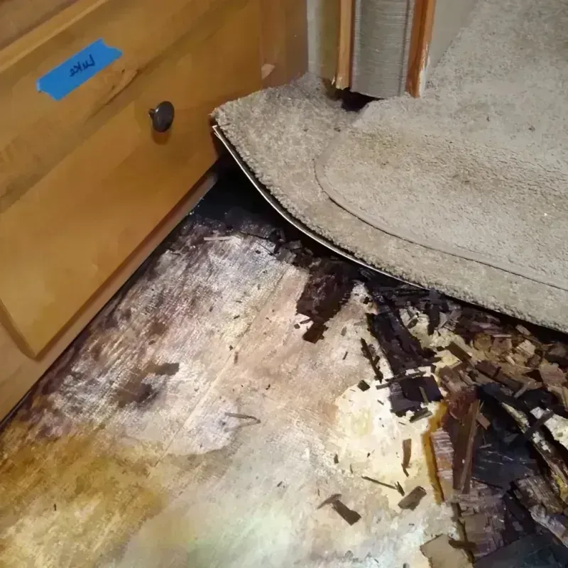 Wood Floor Water Damage in East Orange, NJ